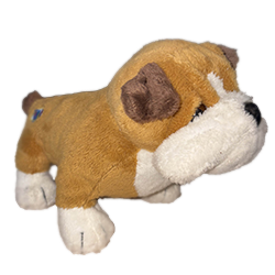 Bulldog Webkinz